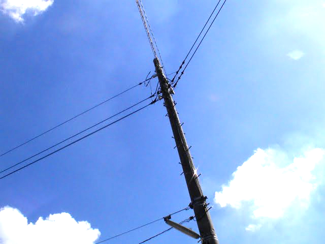 サンプル写真